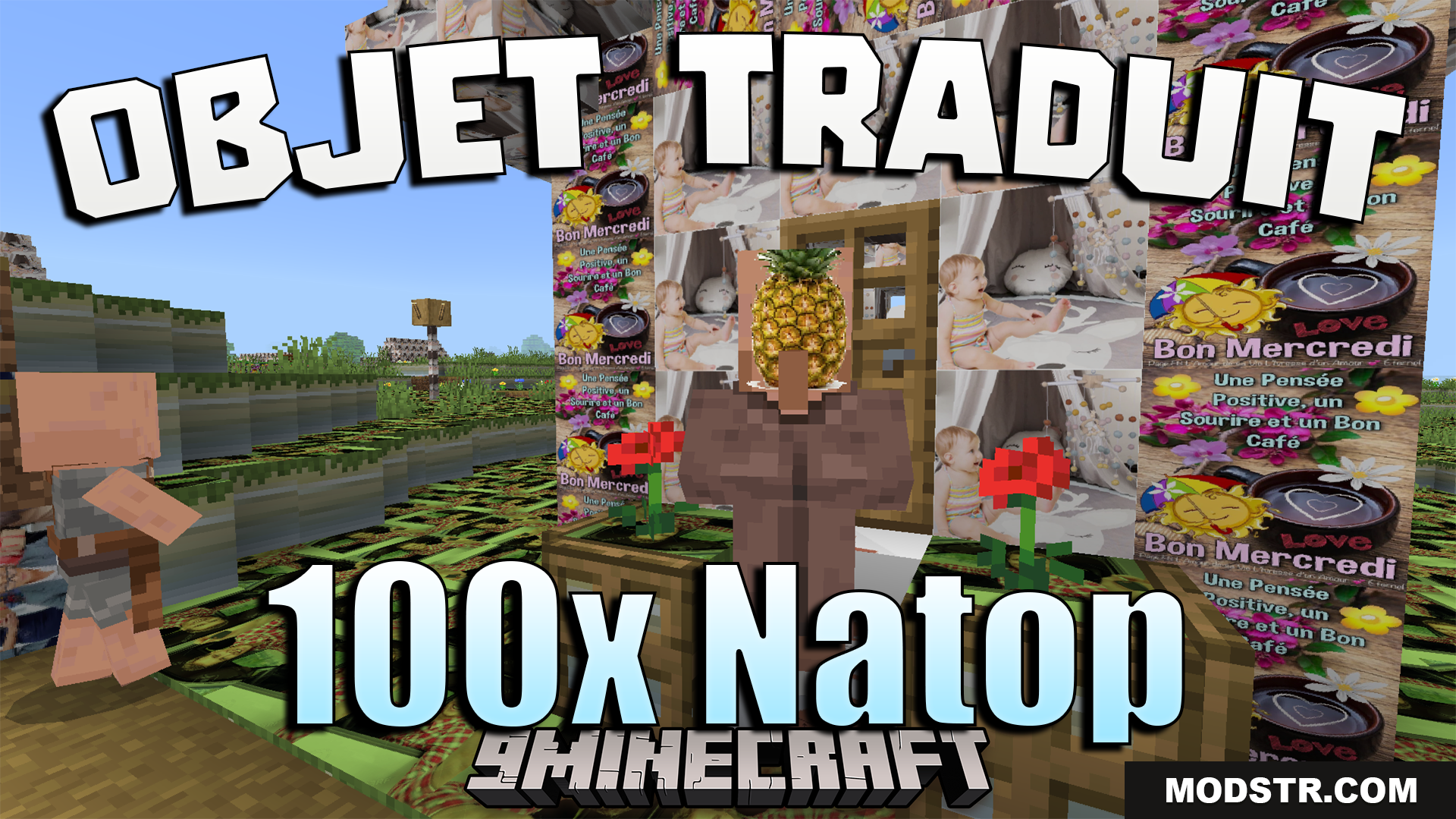 Objet Traduit 100x Natop Texture Pack