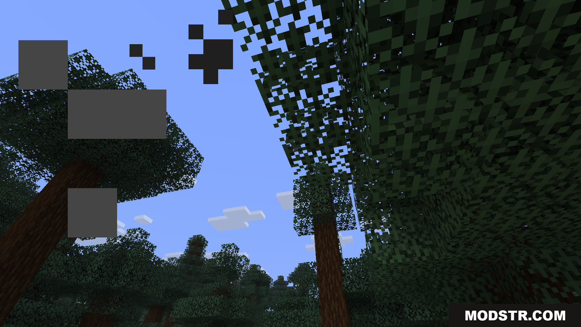 Clear first-person view looking up at the tree canopy
