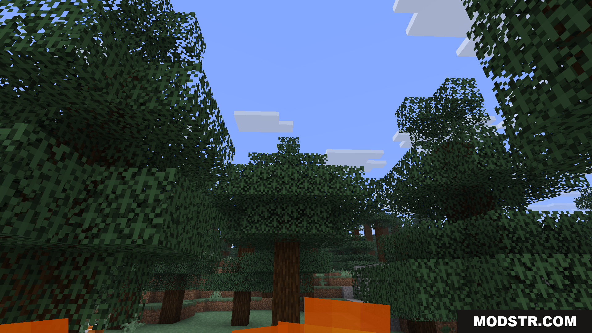 A normal first-person view from inside a Minecraft forest