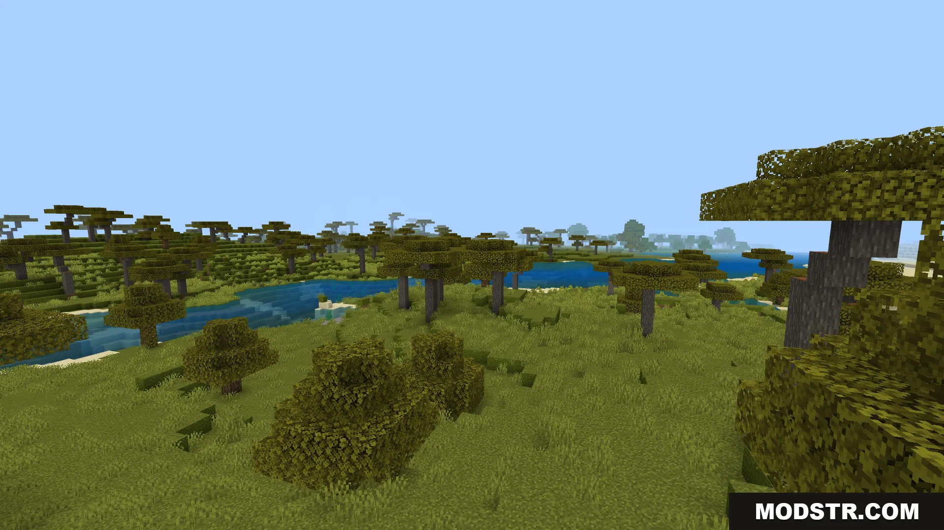 smooth gameplay in a savanna biome with clear skies and fast chunk loading