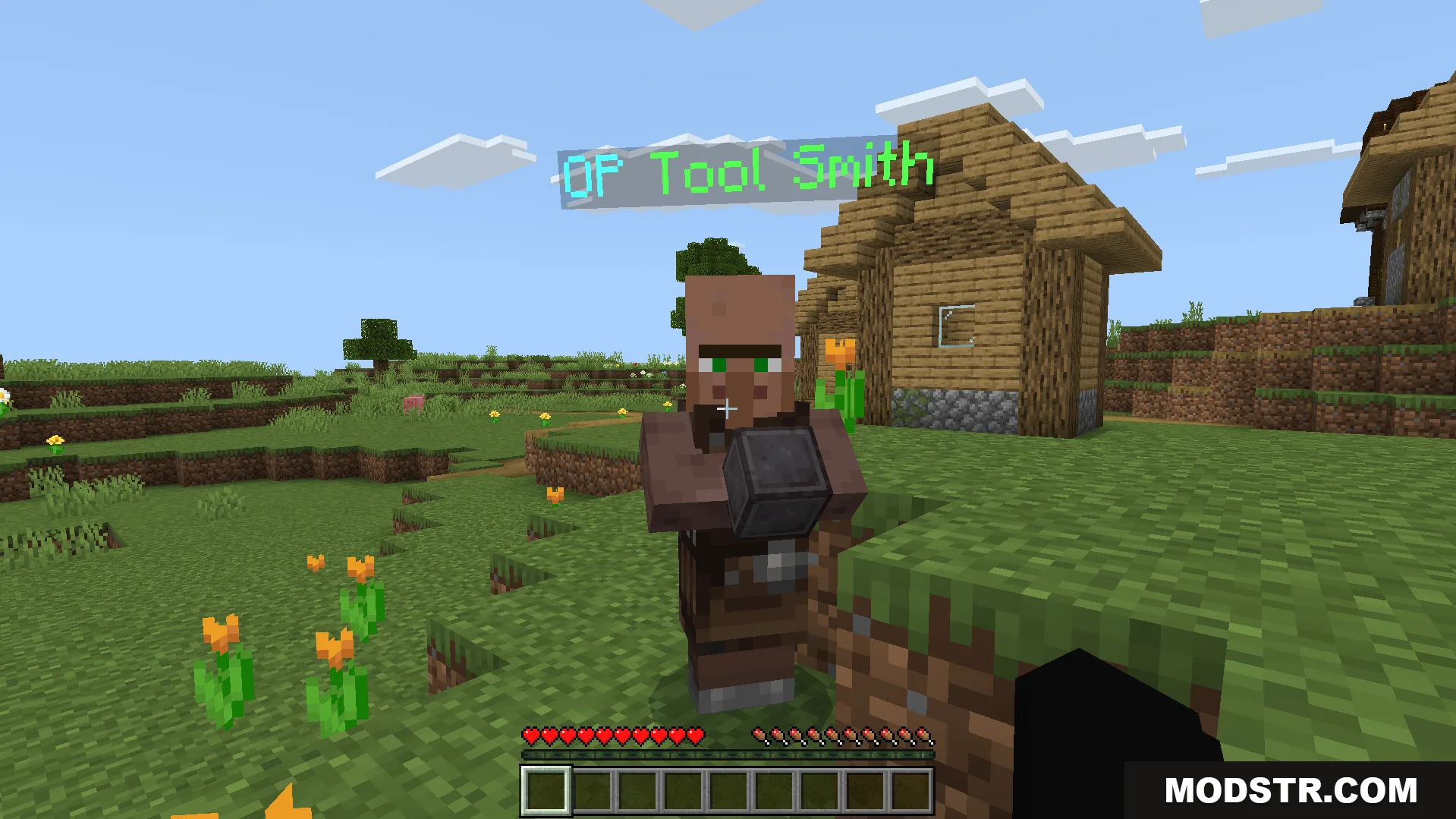 A special tool smith villager stands in a survival village