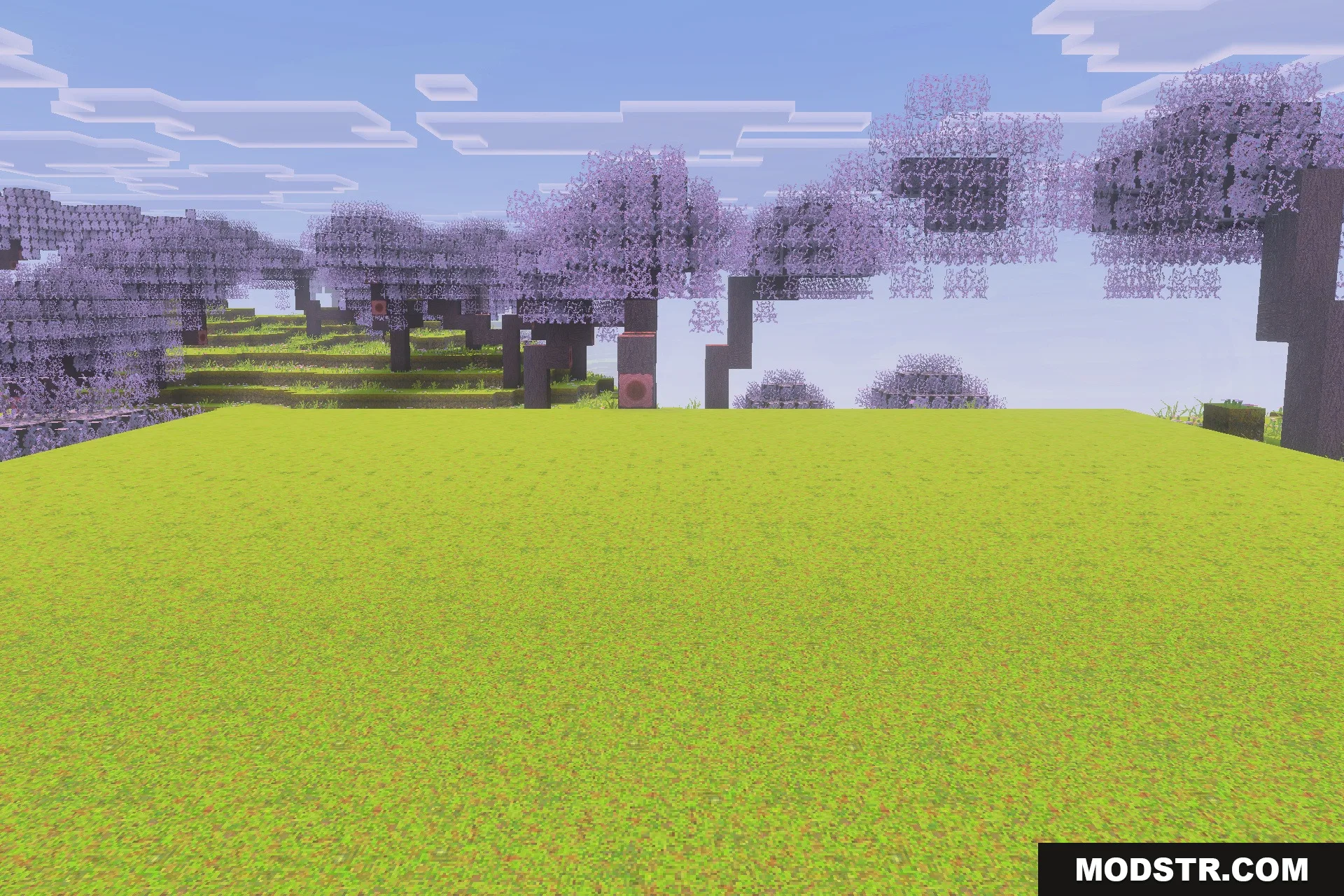 Optimum Realism for Bedrock Edition Texture Pack Screenshot 1 A scenic view of cherry blossom trees and a vast green field