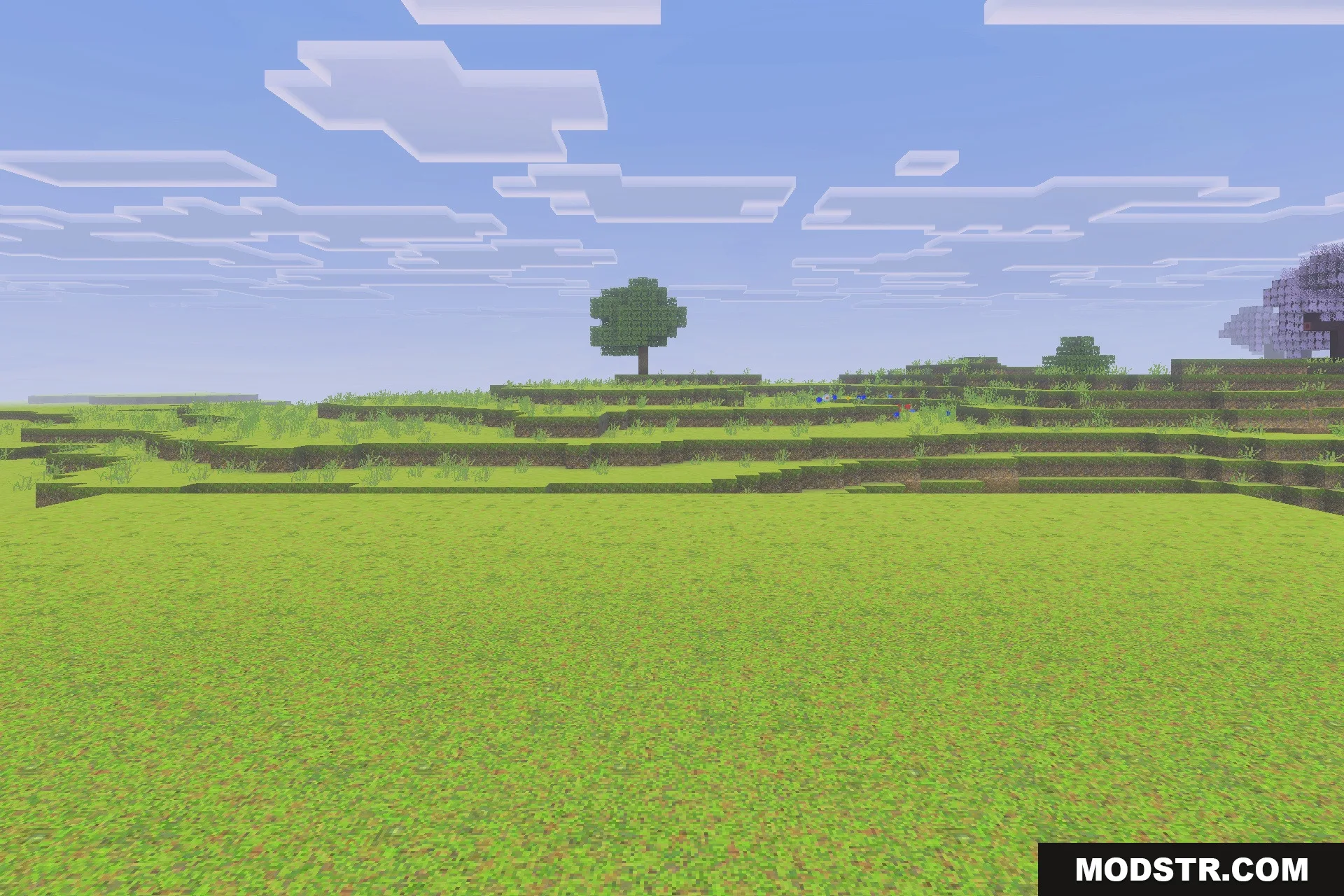 Optimum Realism for Bedrock Edition Texture Pack Screenshot 3 A wide Minecraft landscape featuring realistic grass textures and a clear blue sky