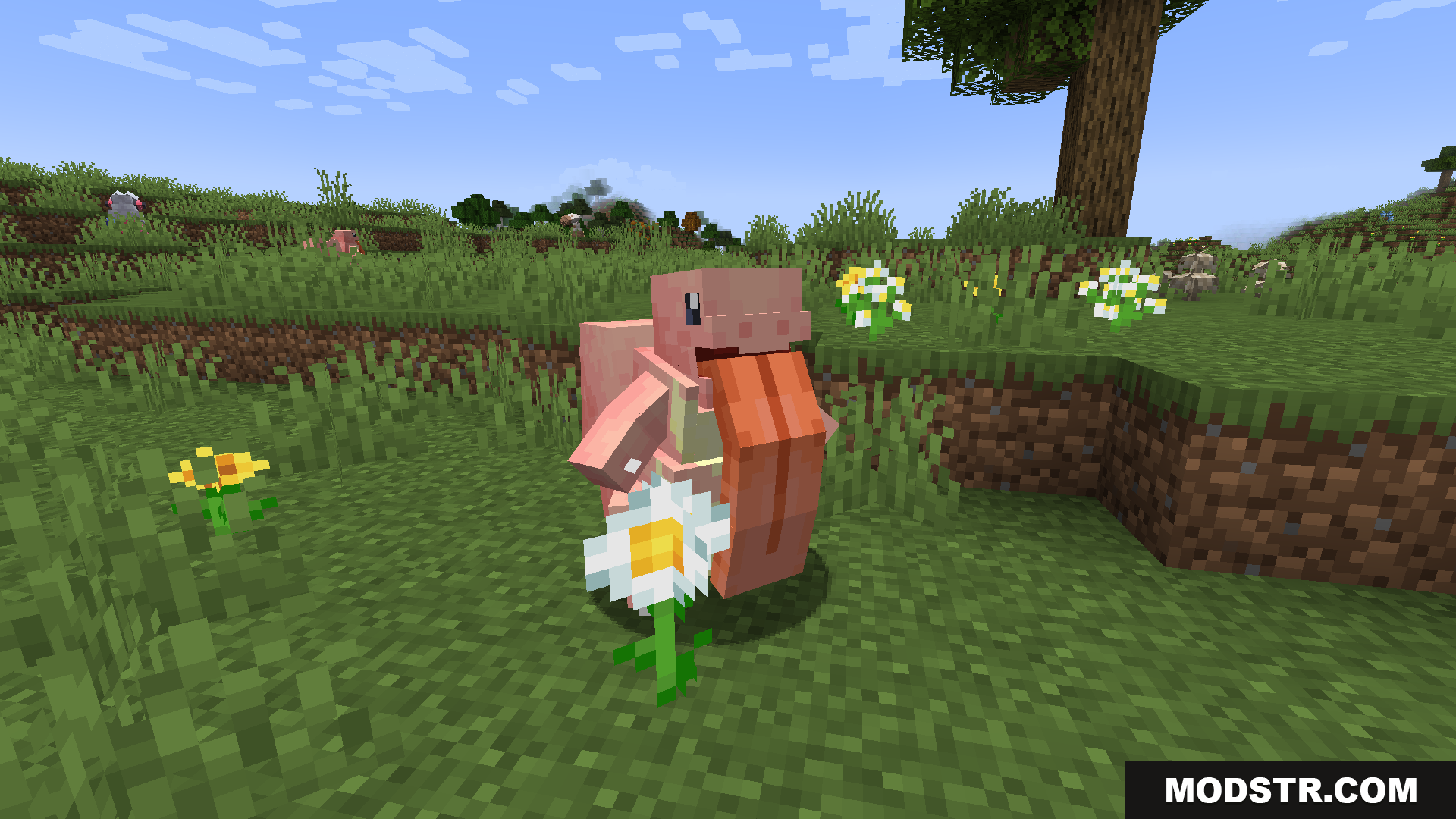 Original Pokemon Battle Music Resource Pack Screenshot 8 A Minecraft Piglin holding a white daisy flower