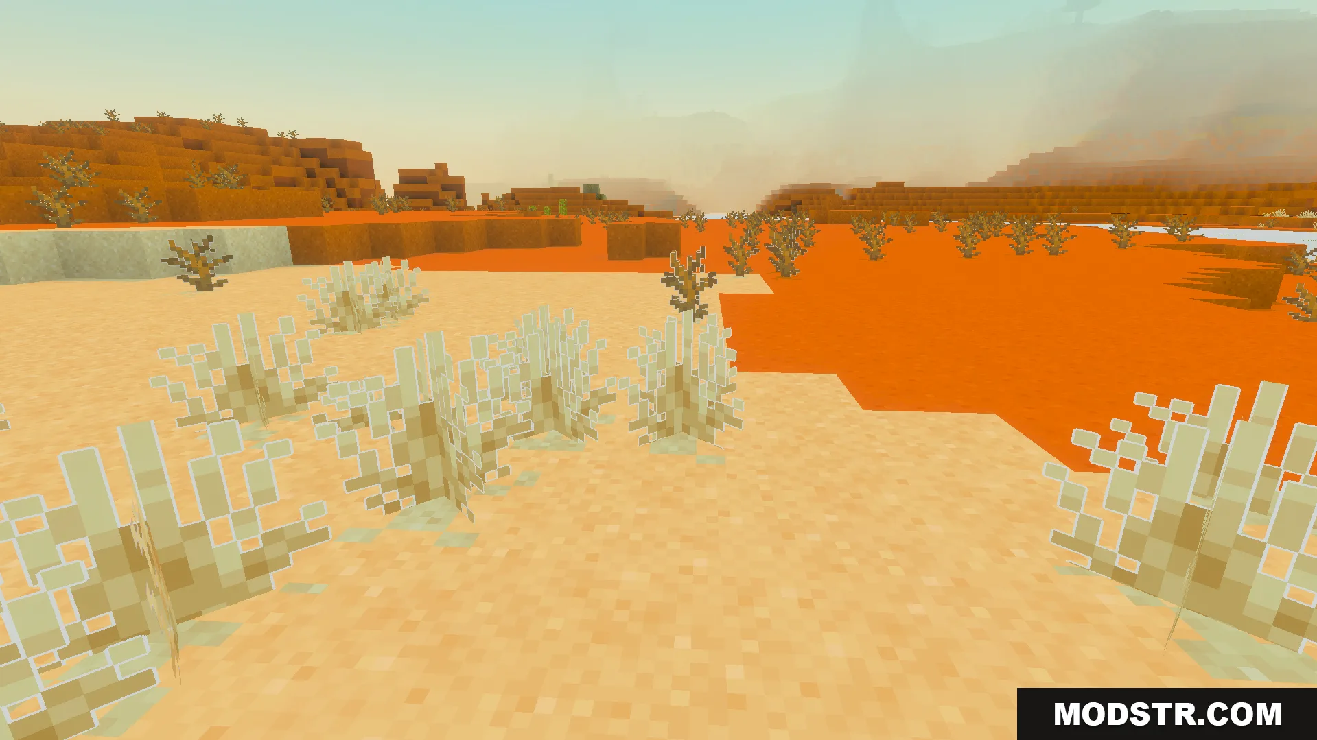 Outlined Grass Texture Pack Screenshot 6 White outlines added to dead bushes and desert plants in a badlands biome