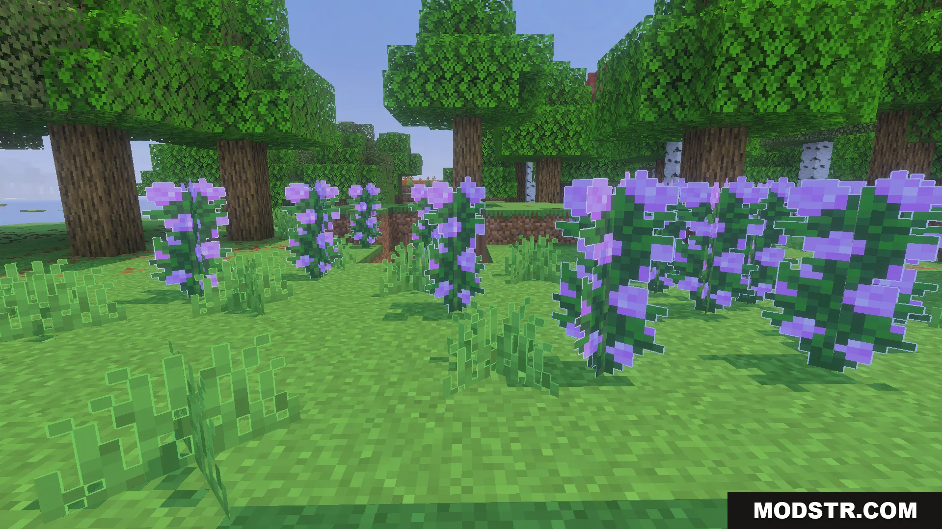 Outlined Grass Texture Pack Screenshot 3 Purple lilac bushes with white outlines in a forest clearing