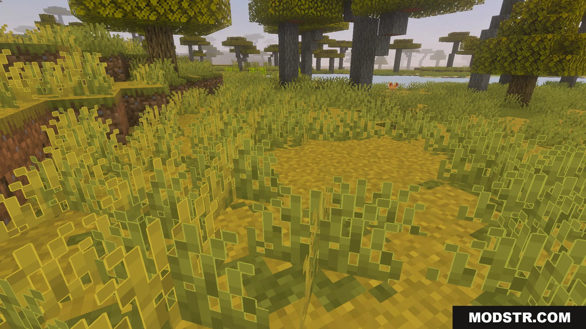 Outlined Grass Texture Pack Screenshot 2 A patch of outlined tall grass in a savanna