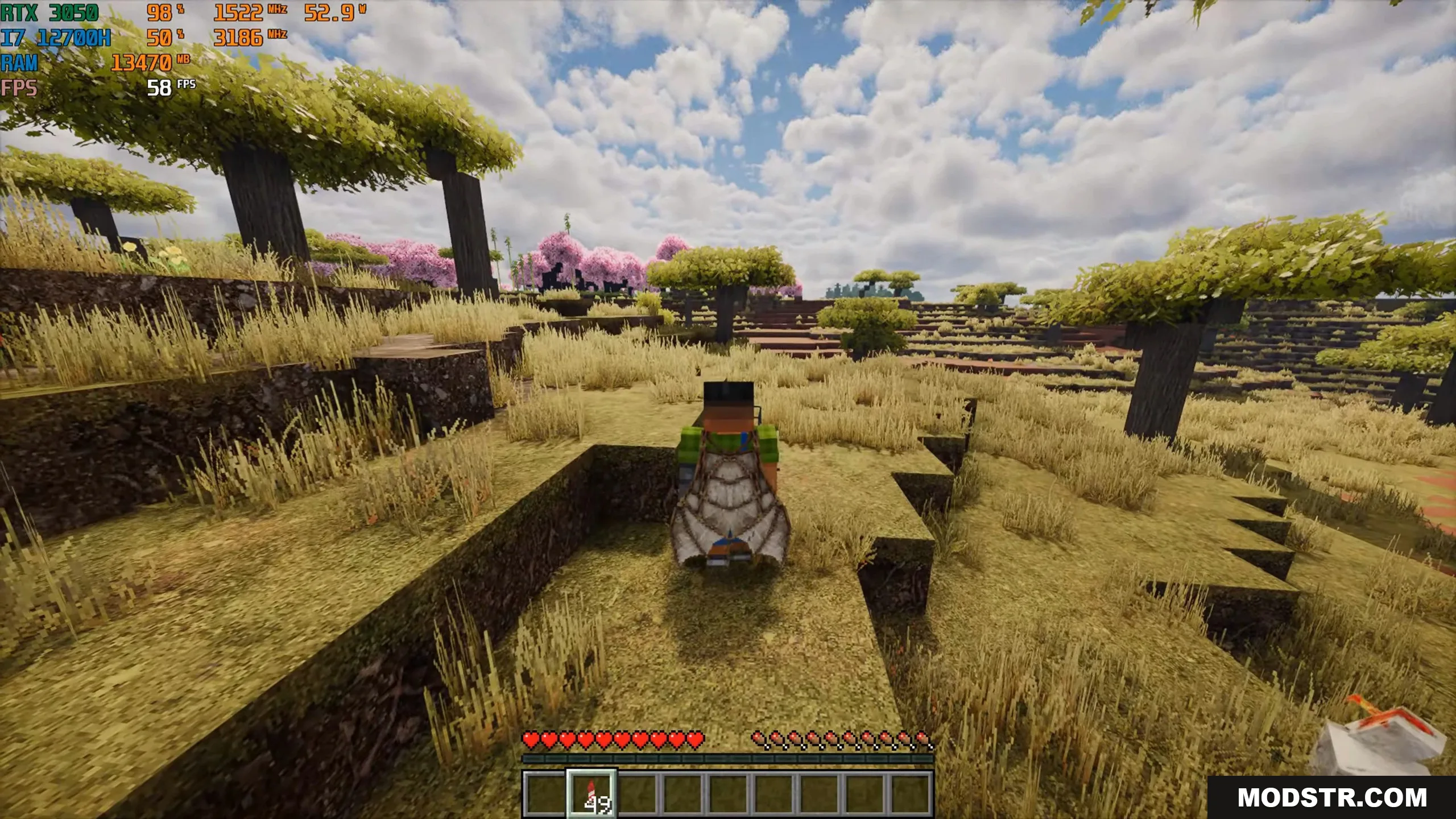 Player wearing an elytra stands in a realistic savanna with cherry blossoms