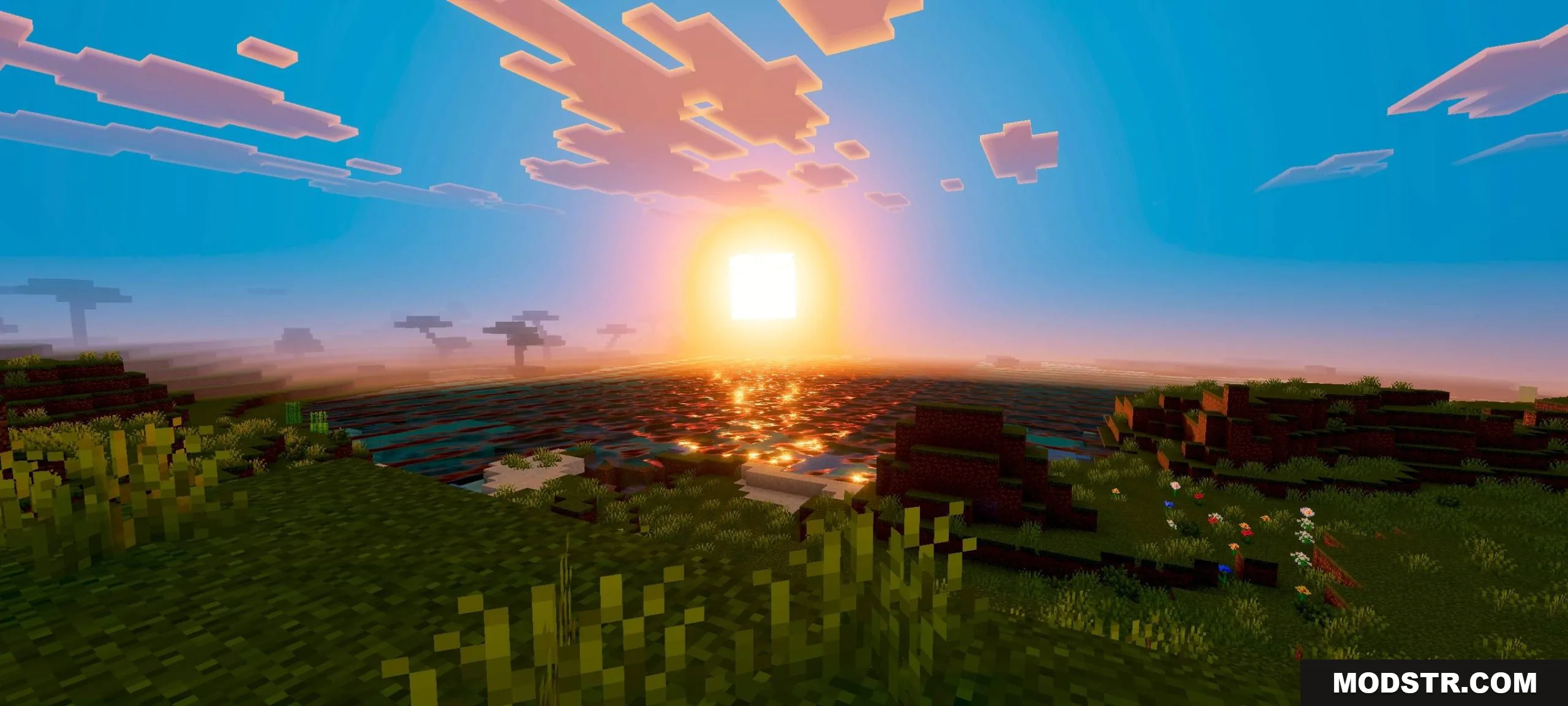 Warm and saturated sunset lighting over a grassy landscape with square clouds