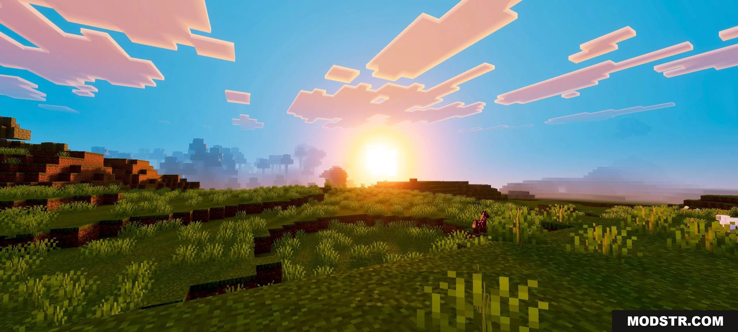 Vibrant sunset with warm lighting and soft visuals over a grassy landscape
