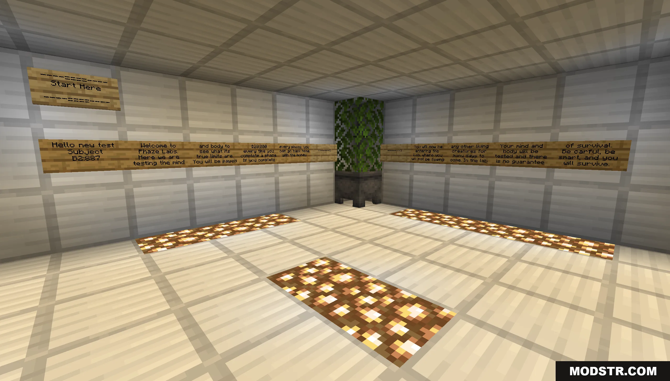 Wooden signs on the wall provide instructions for the upcoming experiment