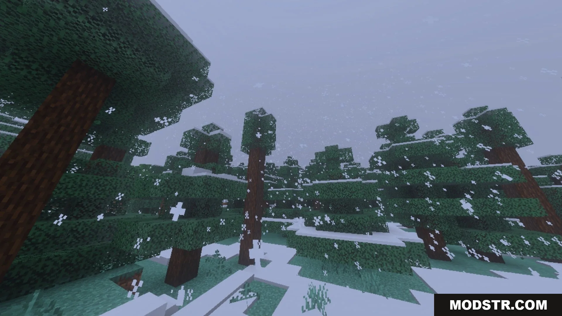 Pixie - Vibrant Visual PBR Shader Screenshot 10 Snow falls over a dense spruce forest with white layers on ground
