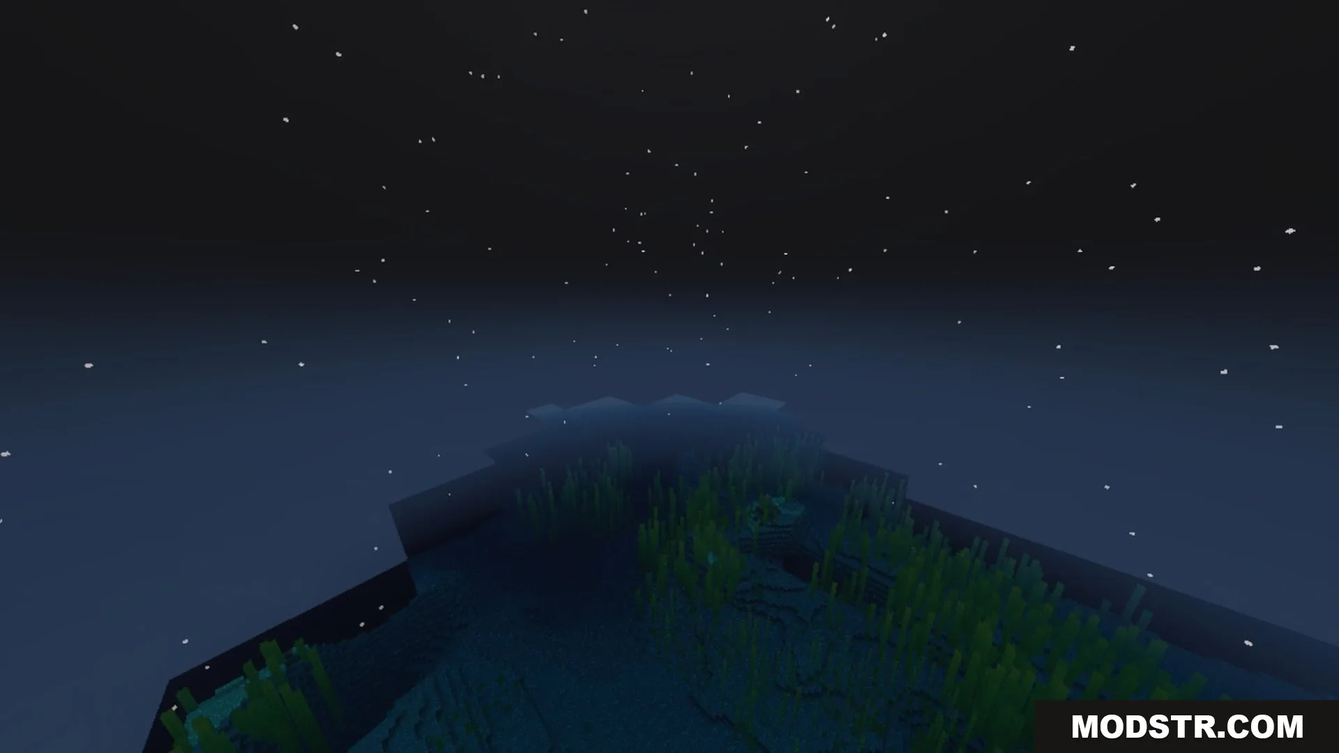 Pixie - Vibrant Visual PBR Shader Screenshot 2 Underwater seagrass in a dark ocean under a starry night sky in Minecraft