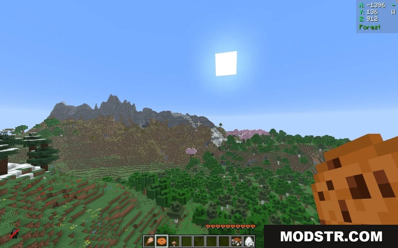 Pocket Phantom Protocol Data Pack Screenshot 4 First person view of a player holding a cookie overlooking a mountain landscape