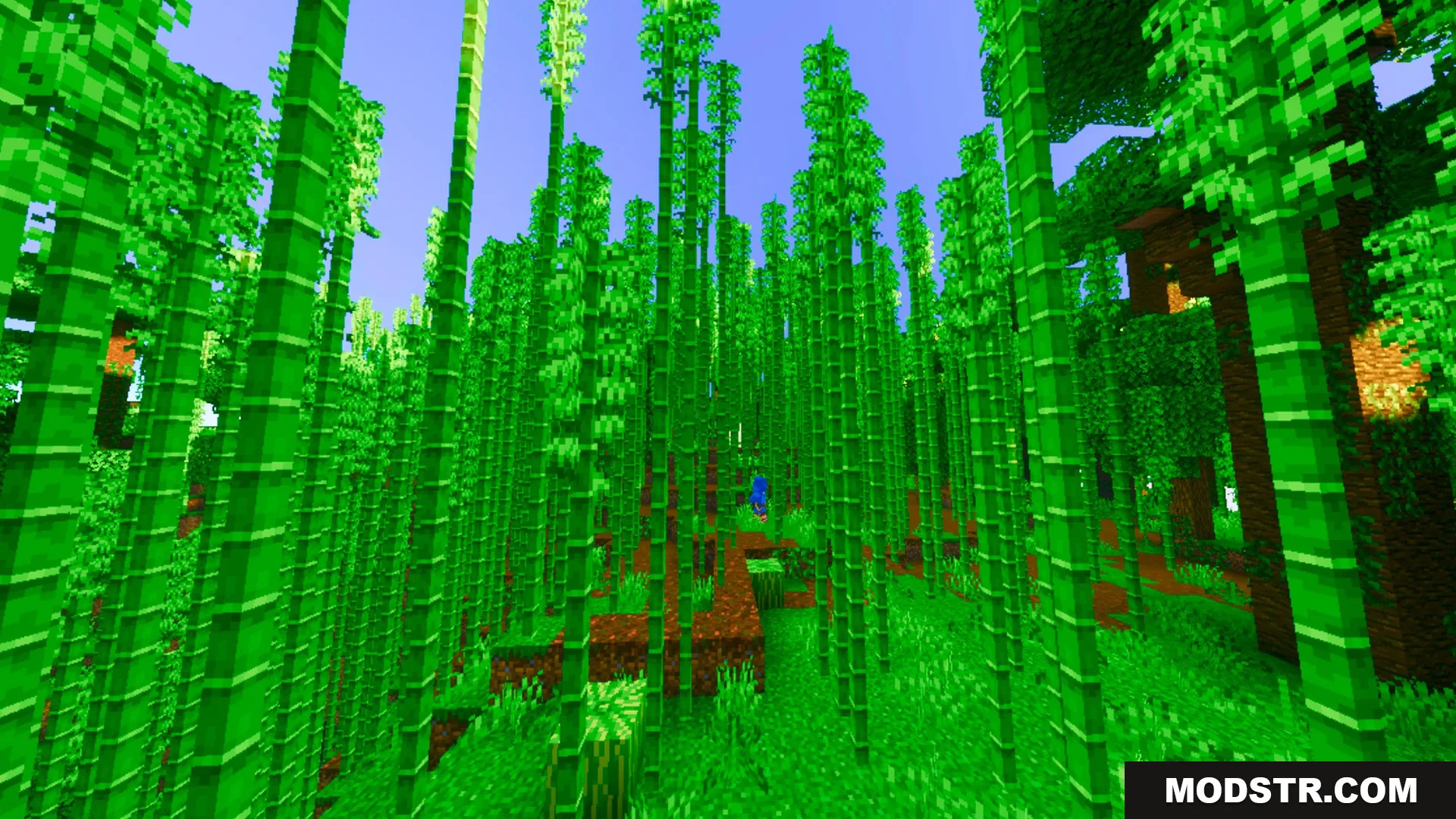 Prismatic Visuals Shader Screenshot 8 Vibrant green bamboo stalks grow densely in a bright and colorful forest