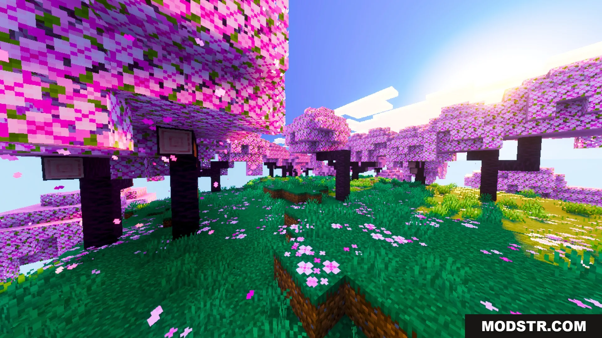 Prismatic Visuals Shader Screenshot 5 Pink cherry blossom trees stand in a vibrant field under a bright sun