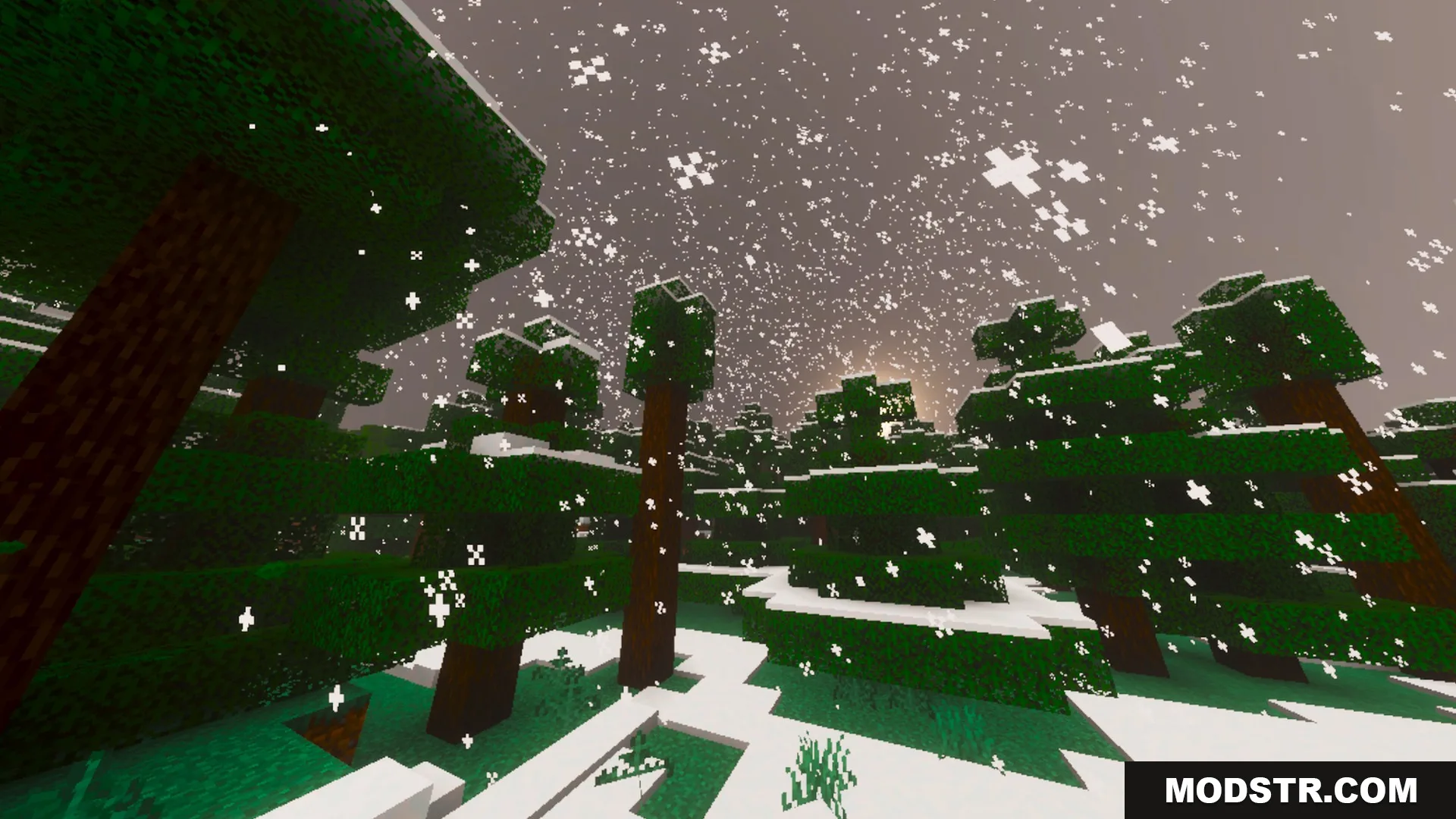 Prismatic Visuals Shader Screenshot 10 Heavy snow falling over a dense spruce forest with snow covered ground