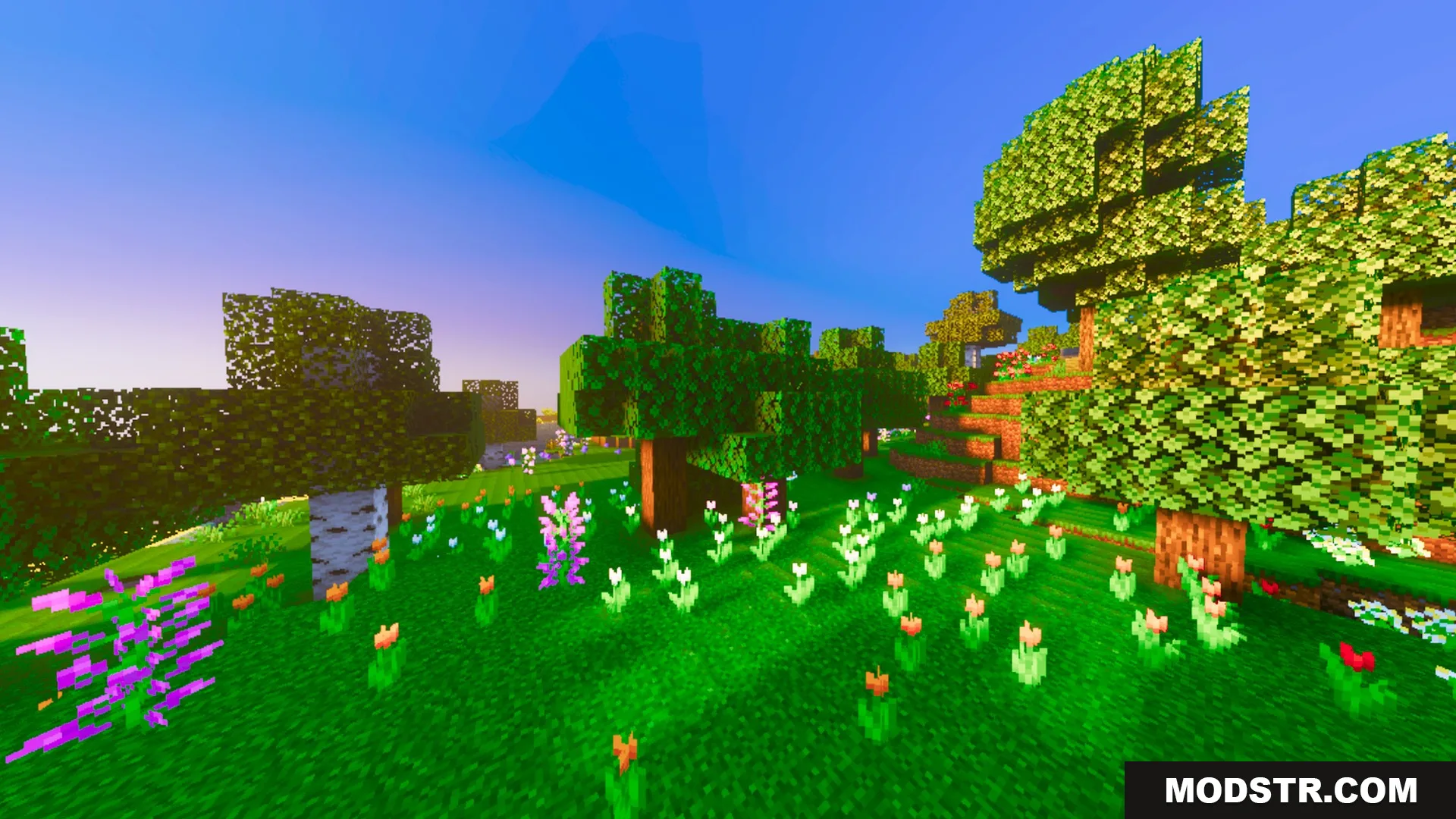 Prismatic Visuals Shader Screenshot 9 Vibrant flower forest with colorful tulips and lush green grass under blue sky