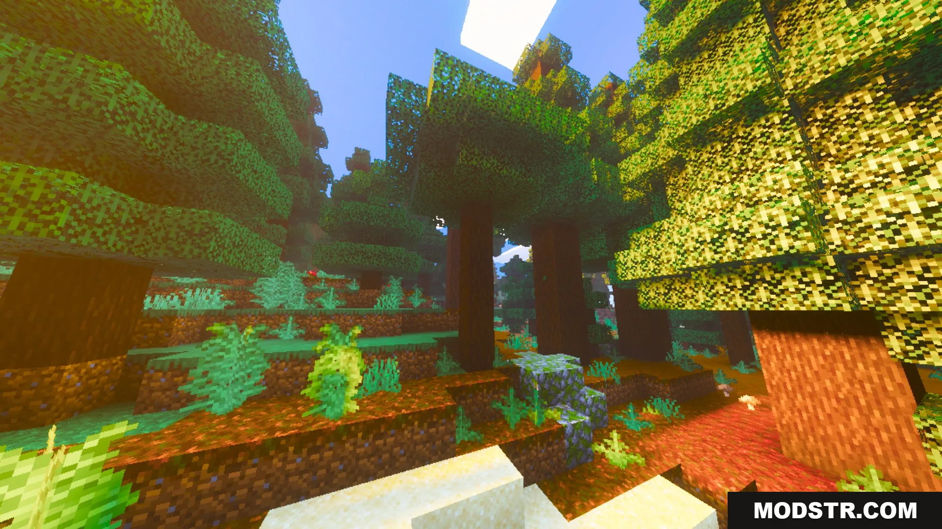 Prismatic Visuals Shader Screenshot 7 Warm saturated sunlight shines through tall spruce trees in a lush biome