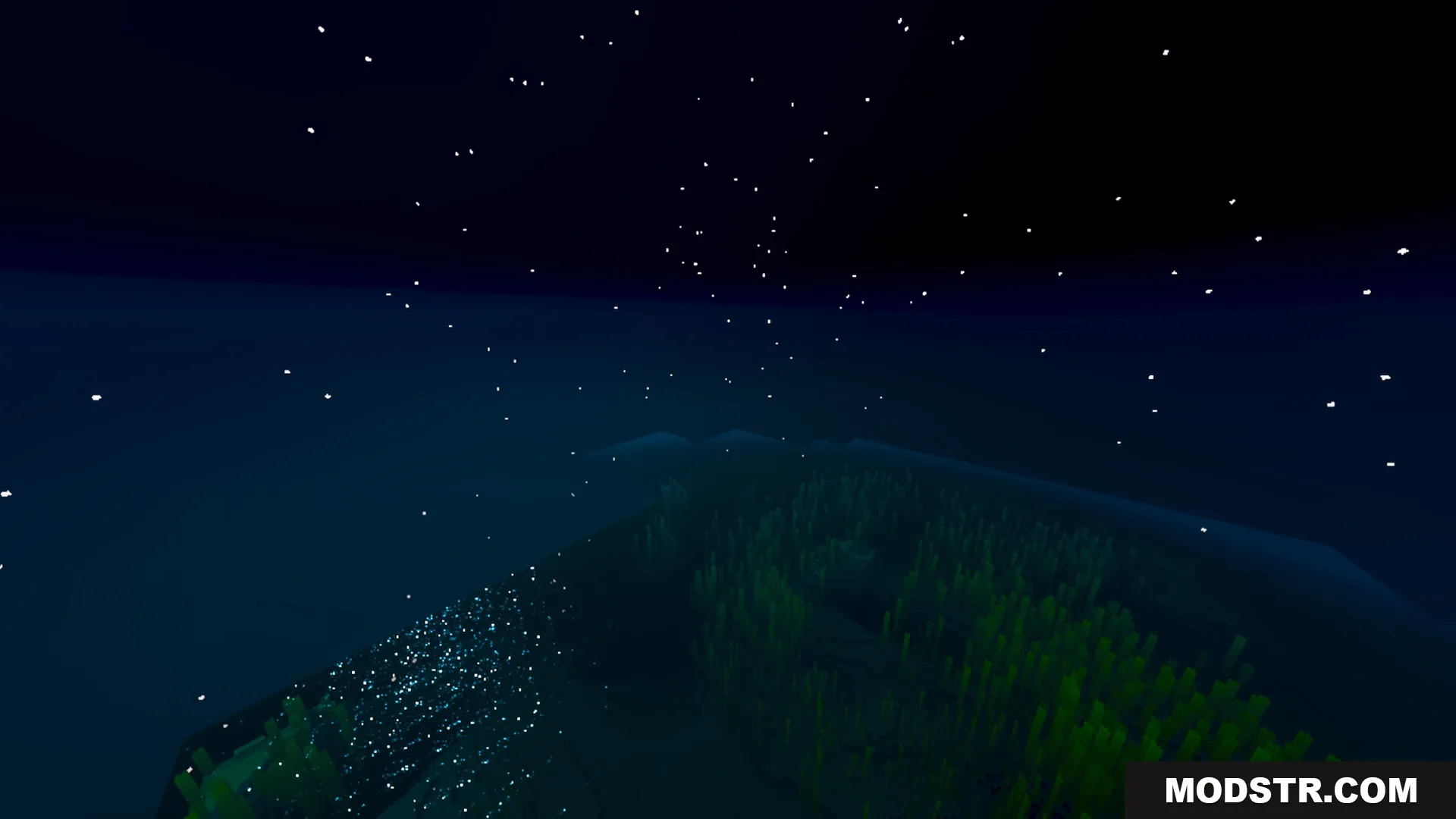 Prismatic Visuals Shader Screenshot 2 Nighttime underwater landscape featuring glowing particles and green kelp on the seabed