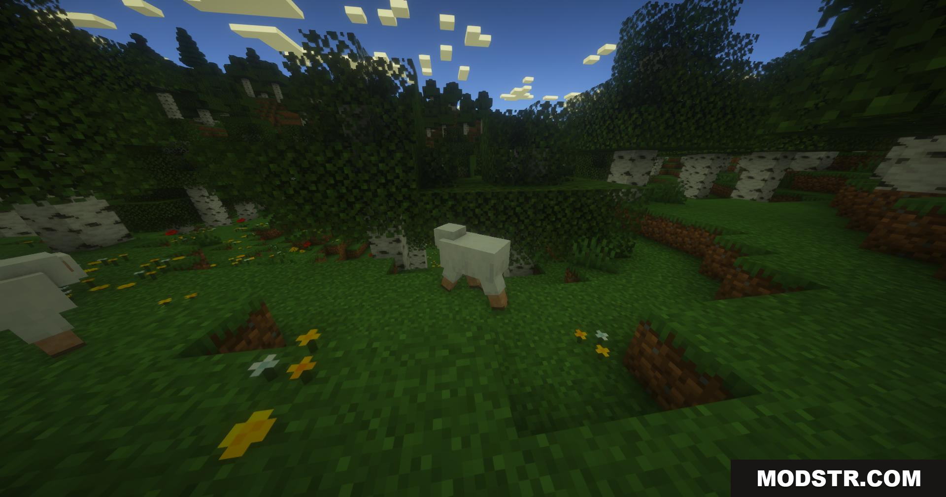 PureCraft Shaders Screenshot 7 White sheep standing on grass in a sunlit birch forest biome