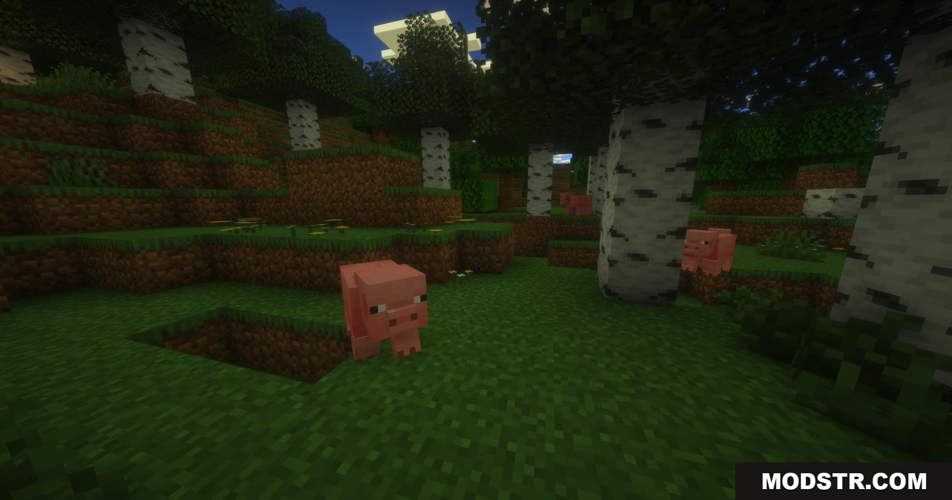 PureCraft Shaders Screenshot 6 Pig in a birch forest showing camera focus from PureCraft Shaders