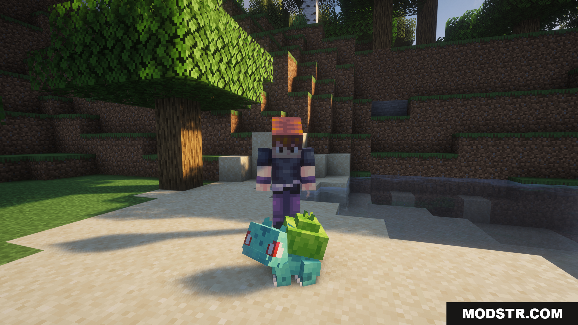 Radical Cobblemon Trainer Textures Plus Resource Pack Screenshot 4 Player stands with two Bulbasaur on a beach