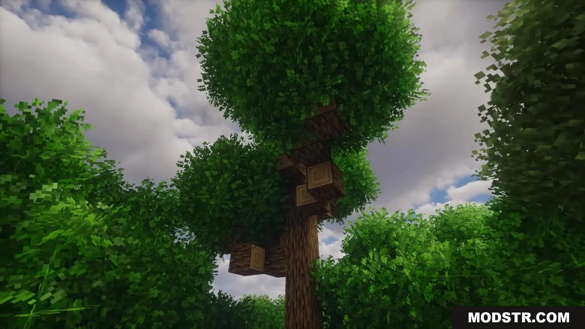 Rainbows Foliage Polytone Resource Pack adds thick bushy leaves to Minecraft trees
