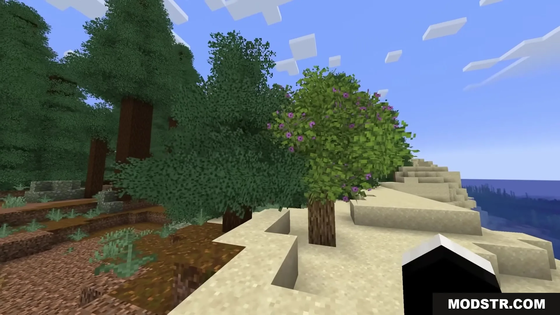 A flowering tree stands on a sandy beach near a dense green forest