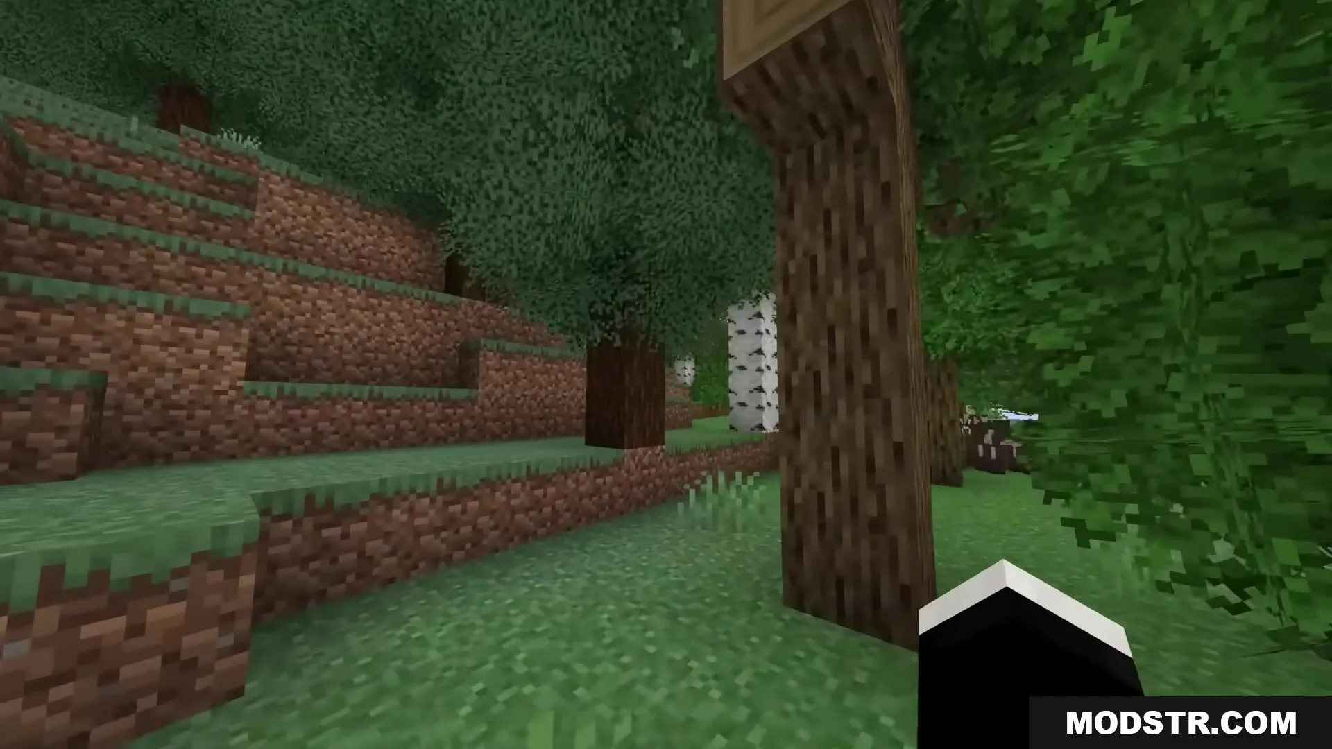 Exploring a dense forest with bushy leaves and diverse trees in Minecraft