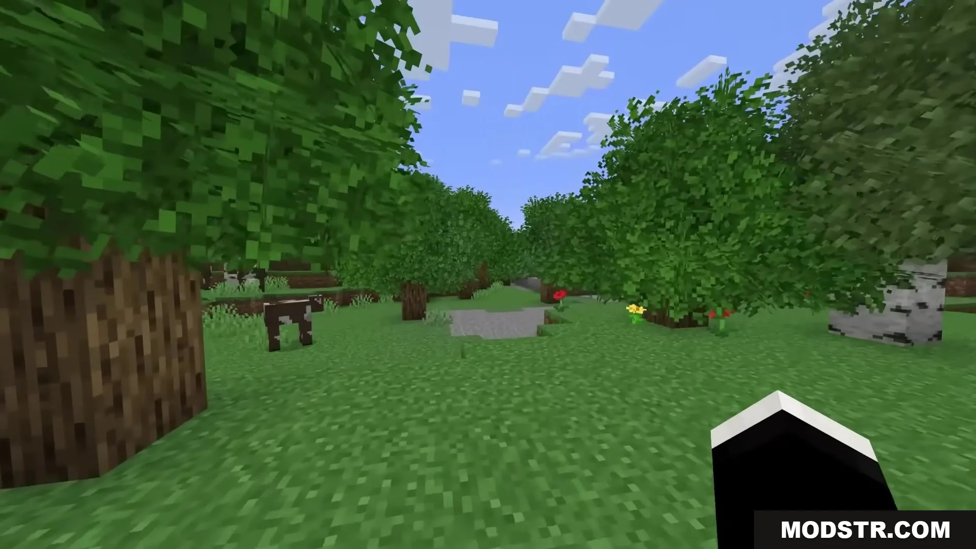 Lush green trees with bushy leaves in a forest with a cow nearby