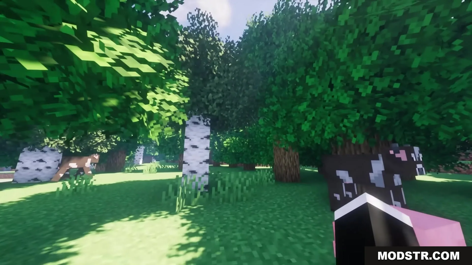 A cow grazing in a bright forest with bushy leaves and sunny shaders