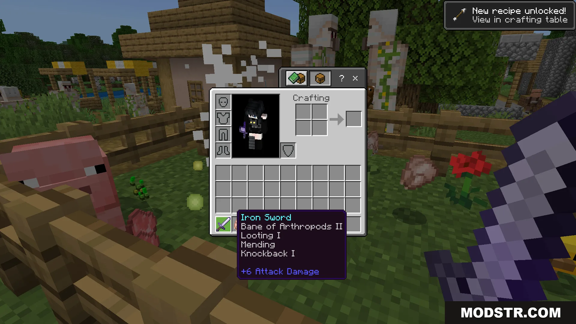Random Enchant on Attack Addon Screenshot 4 Inventory screen showing an iron sword with several random enchantments from combat
