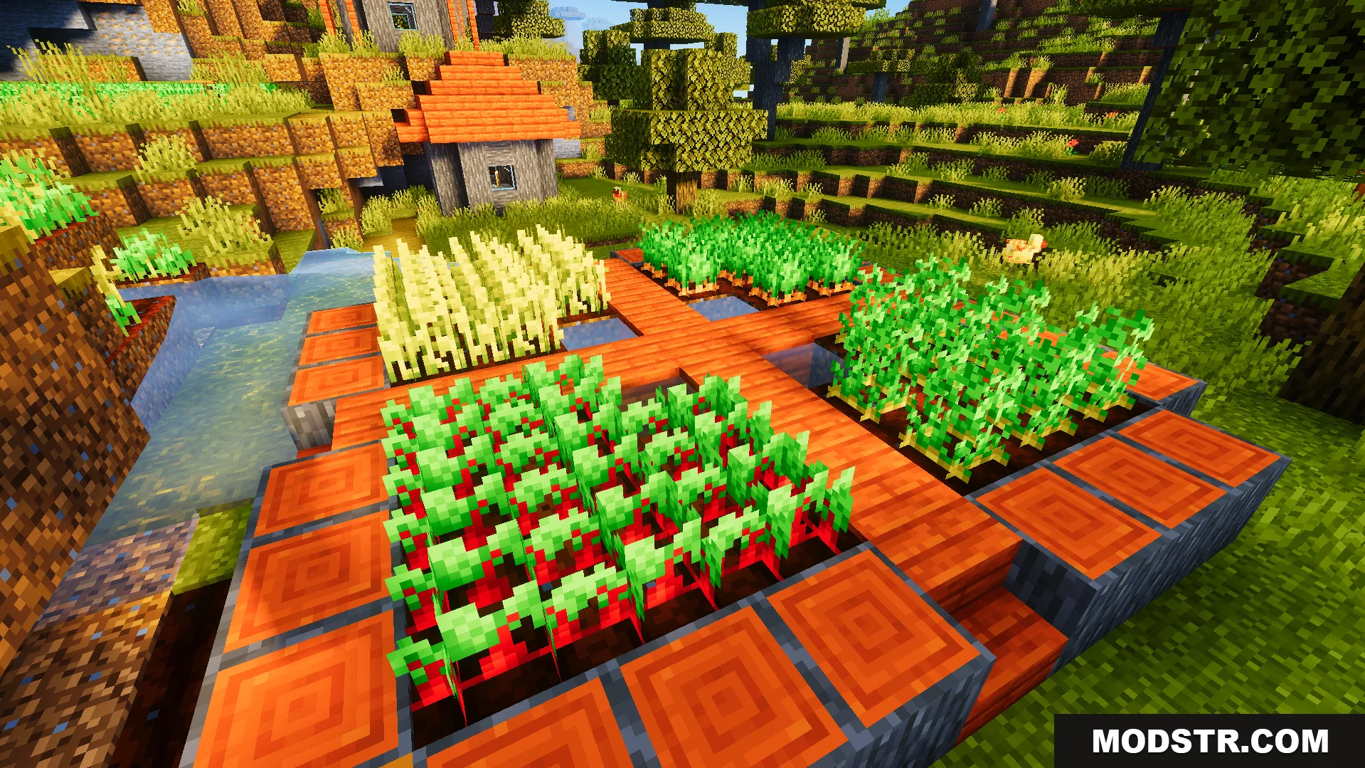 Ready Crops Plus Texture Pack Screenshot 5 Ready Crops Plus Texture Pack adds a glowing animation to fully grown plants