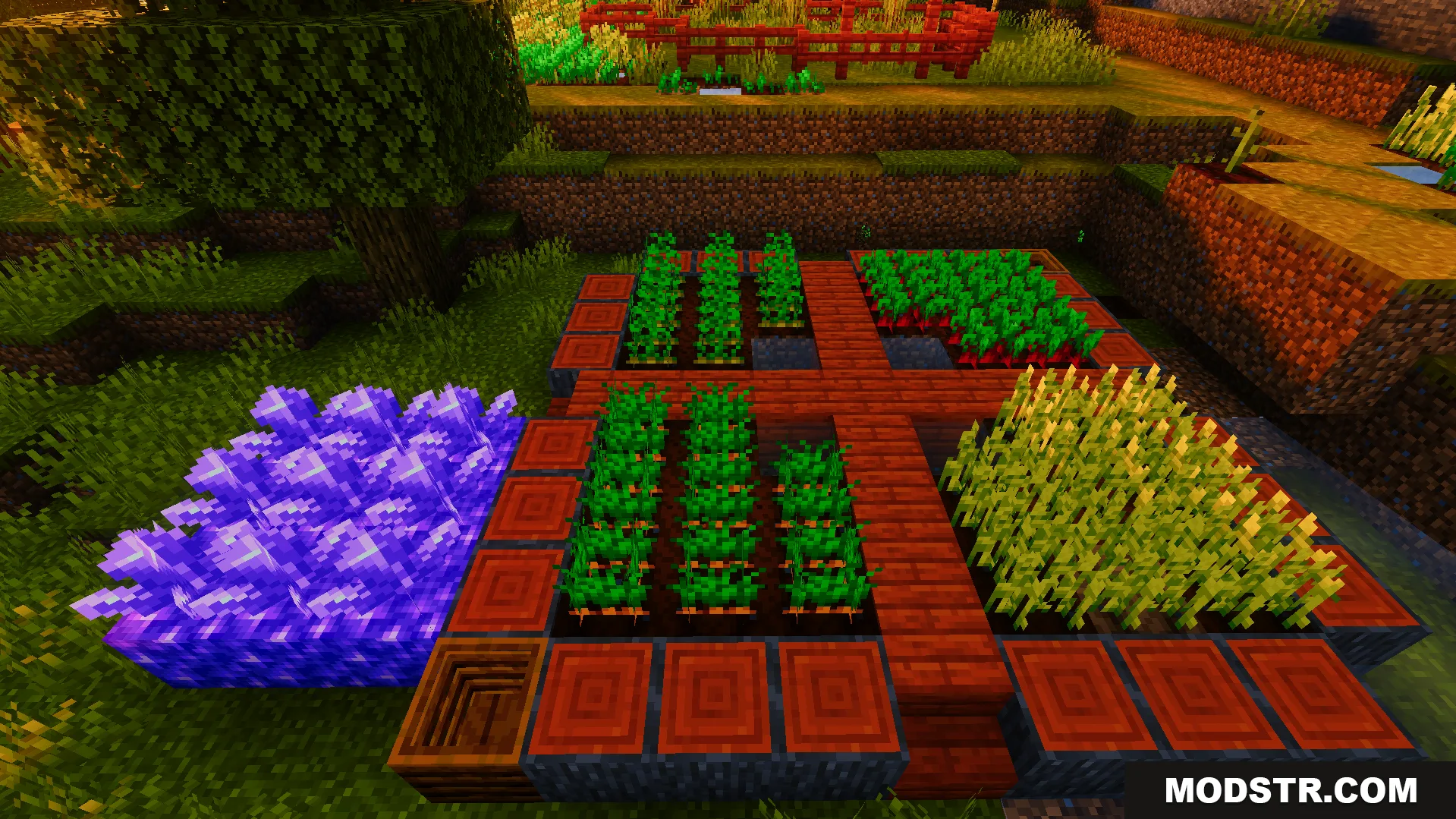 Ready Crops Plus Texture Pack Screenshot 8 Ready Crops Plus Texture Pack adds a glowing animation to fully grown plants