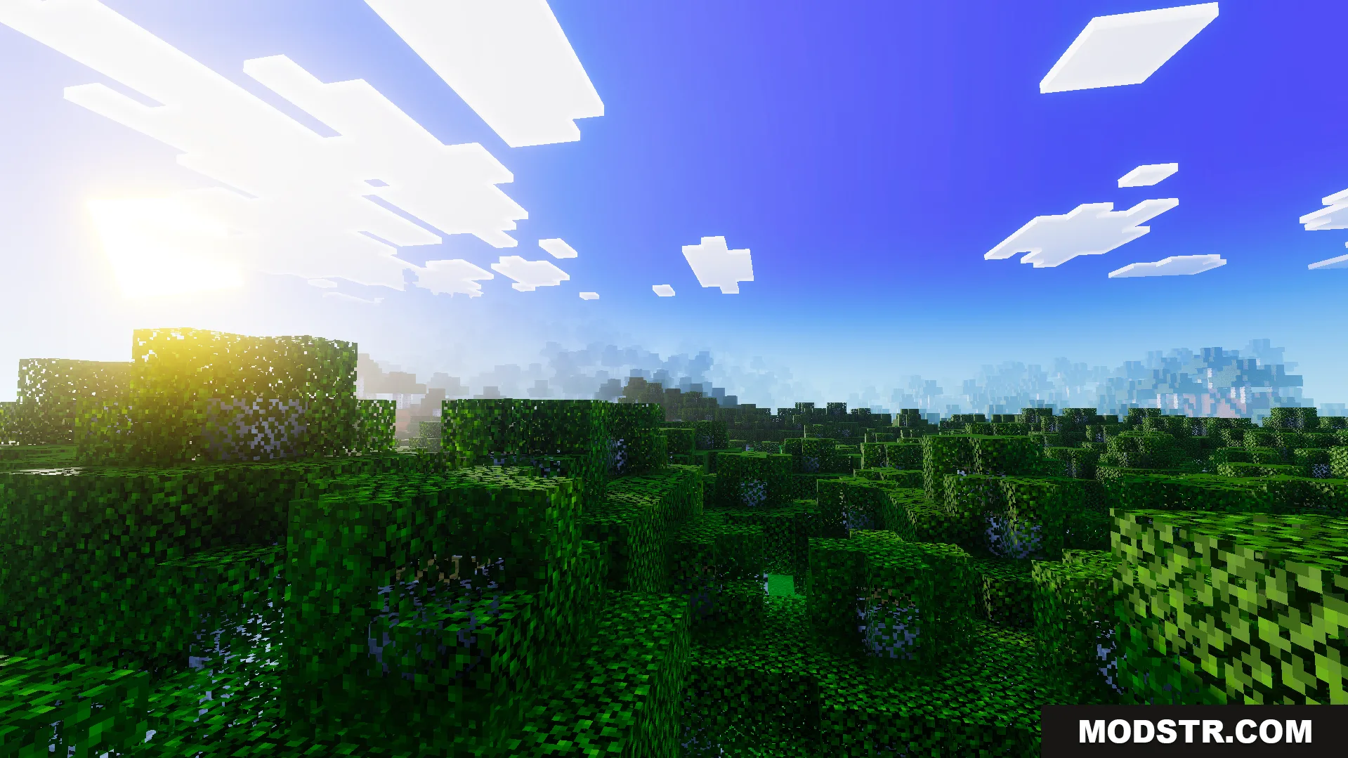 Realism Visuals Shader Screenshot 3 Bright sunlight shines over a dense green forest with realistic lighting