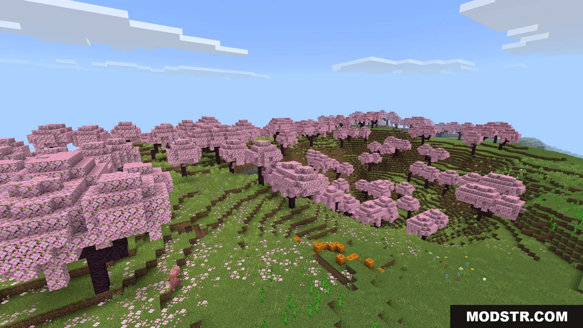 Lush cherry grove biome featuring pink trees and pumpkins under a clear sky