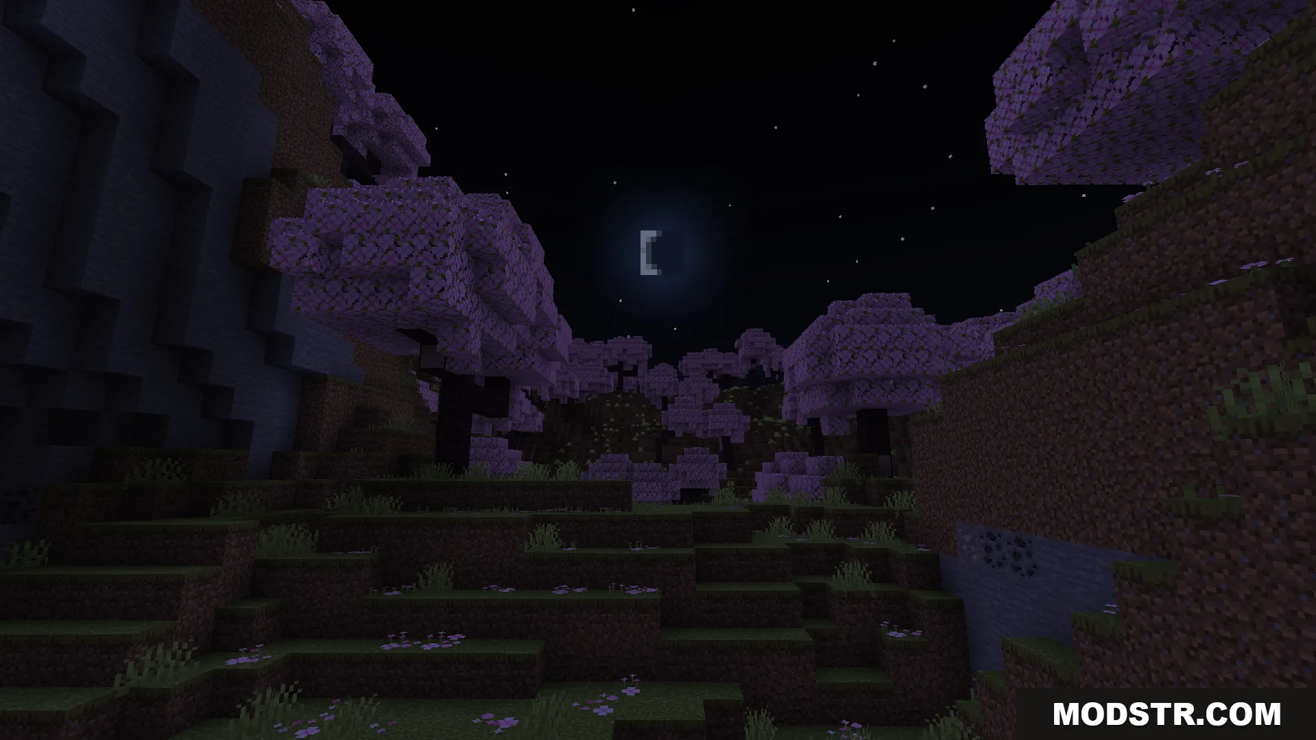 A peaceful night scene in a cherry blossom biome with custom shaders