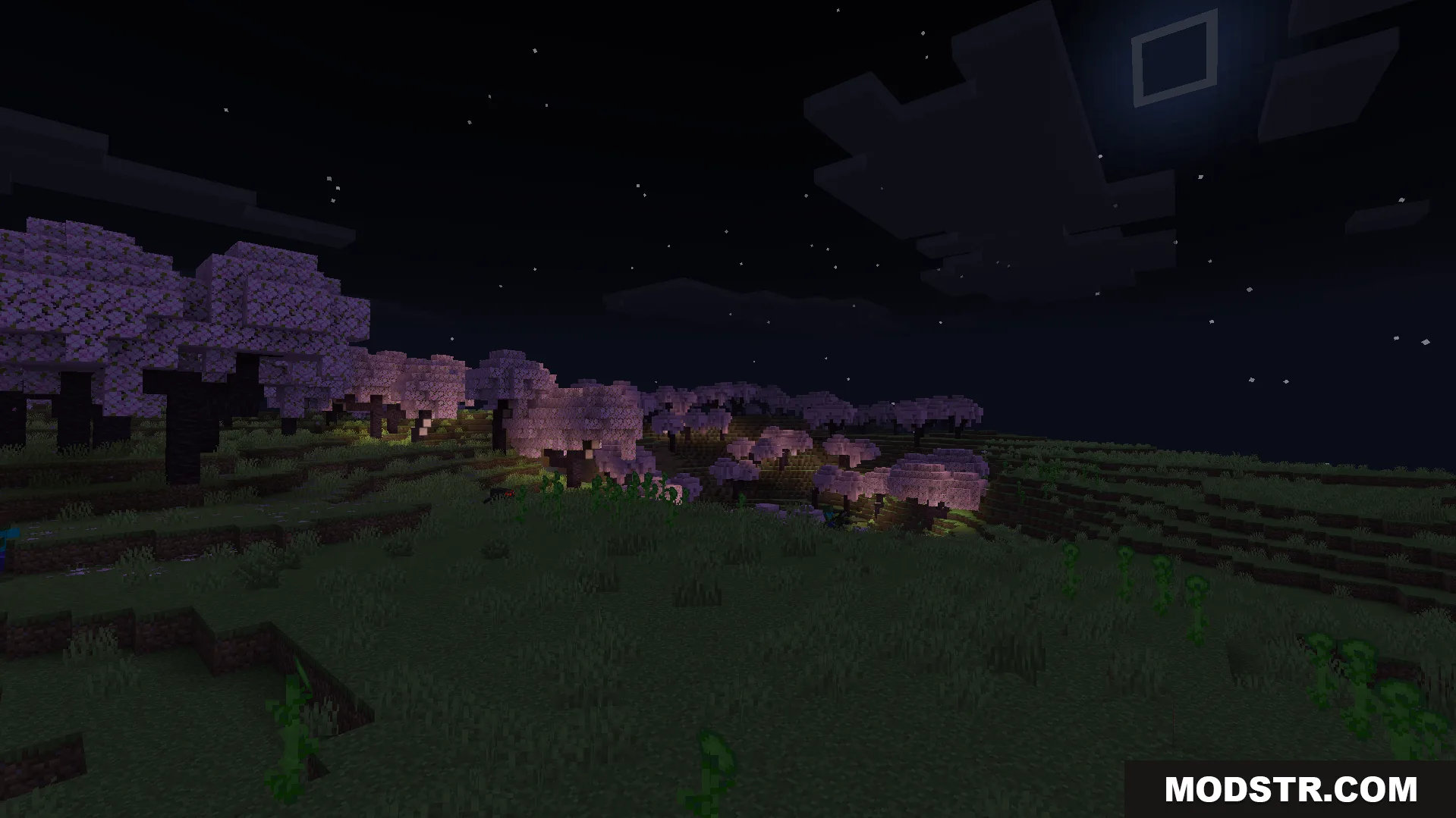 Creepers roaming through a cherry blossom forest under the moonlit night sky