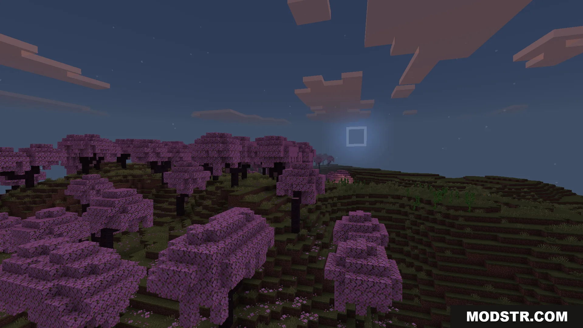 Peaceful cherry blossom forest at night with a square moon and stars