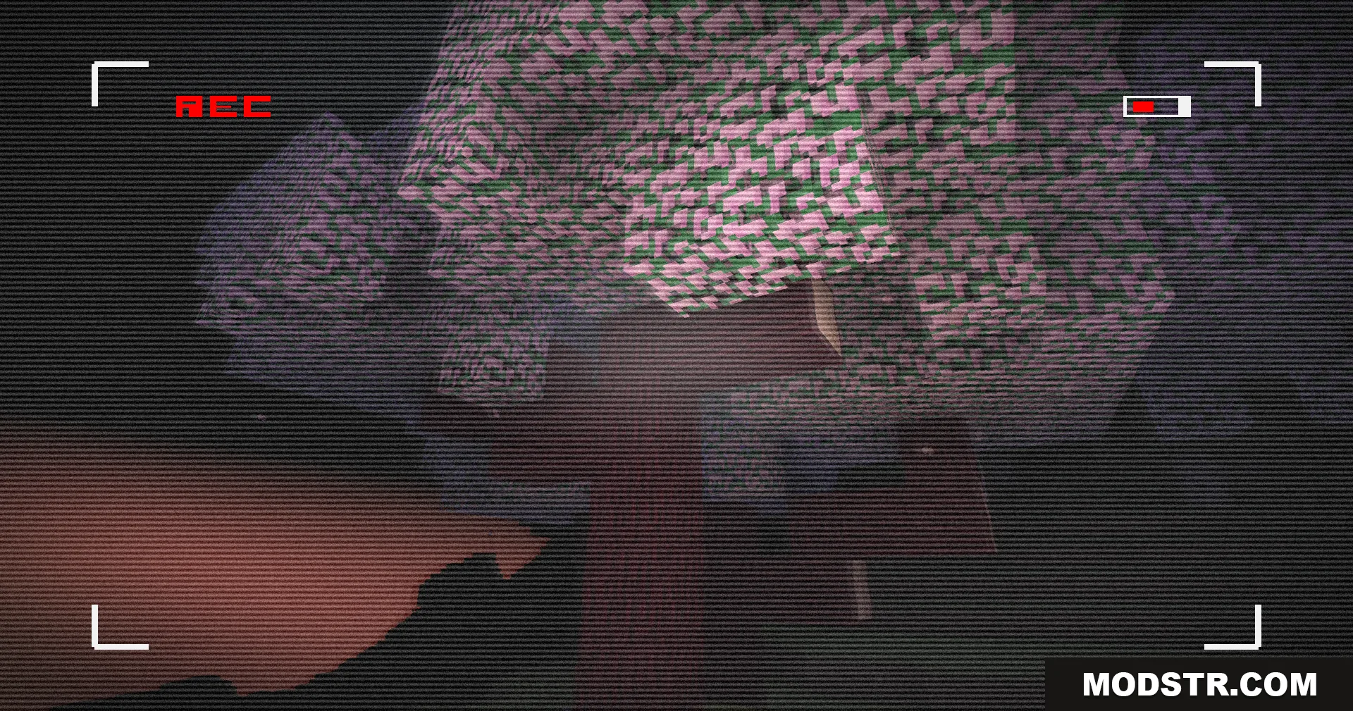 Retro VHS Screen Shaders Screenshot 4 A tree viewed through a grainy VHS camcorder screen with a recording icon