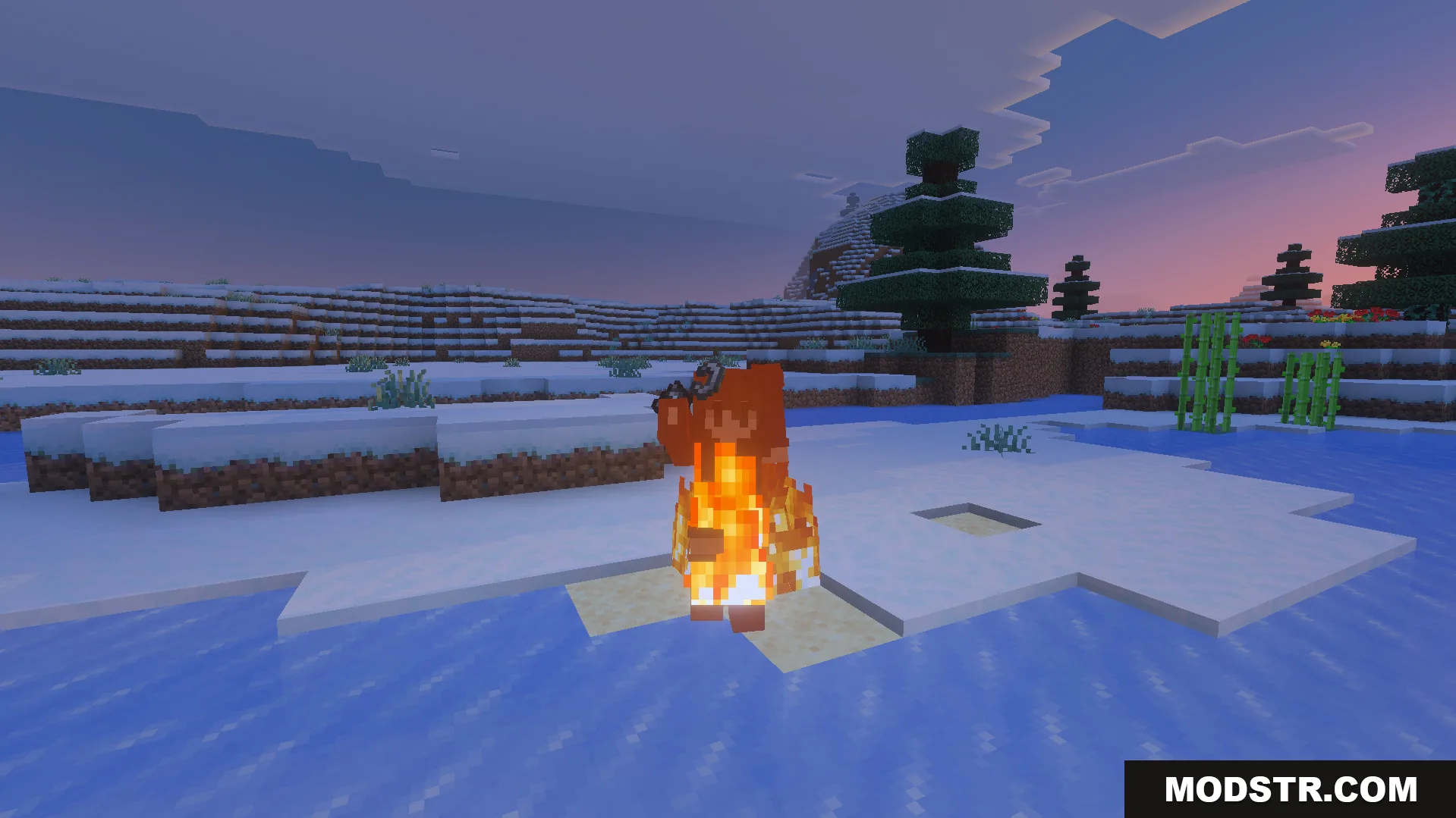 ReWave Texture Pack Screenshot 3 ReWave Texture Pack shows updated textures on a player in snowy biome