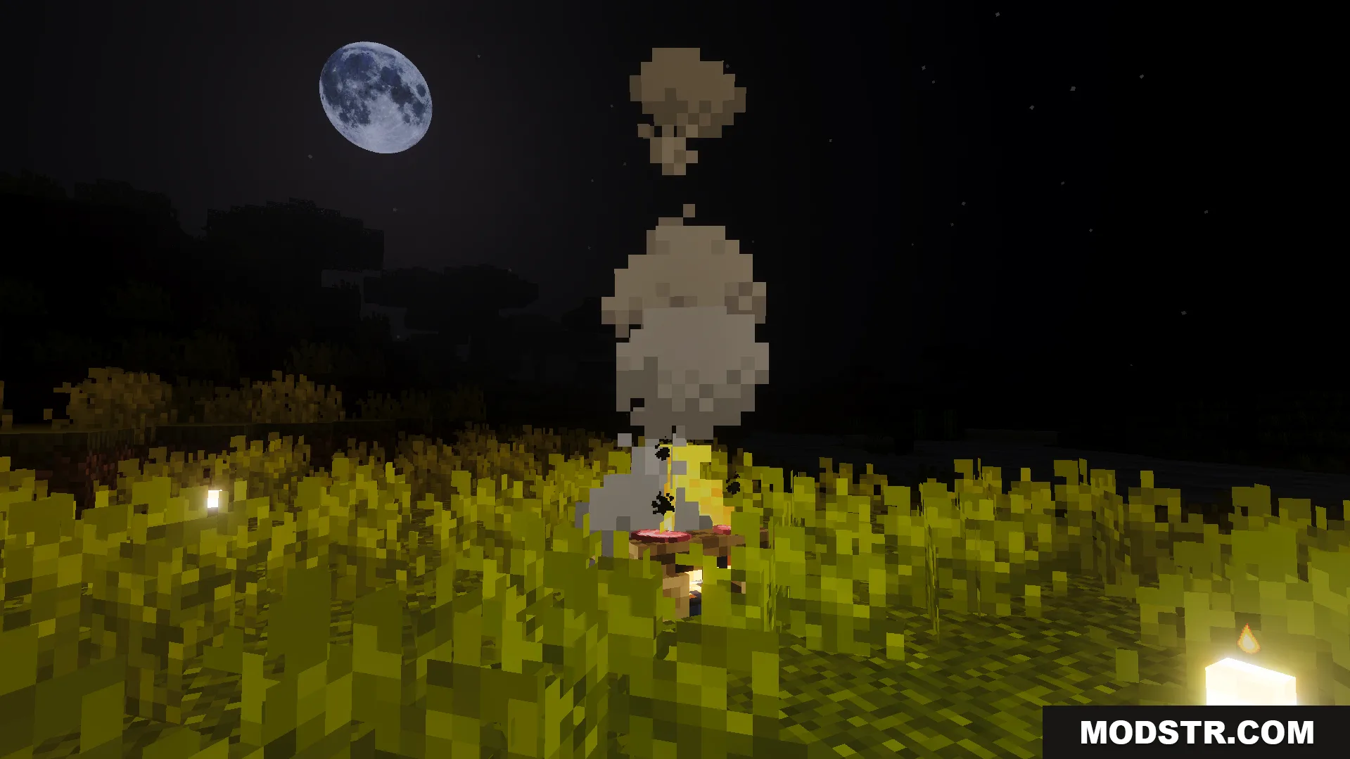 RG Visuals Shader Screenshot 6 Campfire with smoke at night under a realistic moon with soft shadows