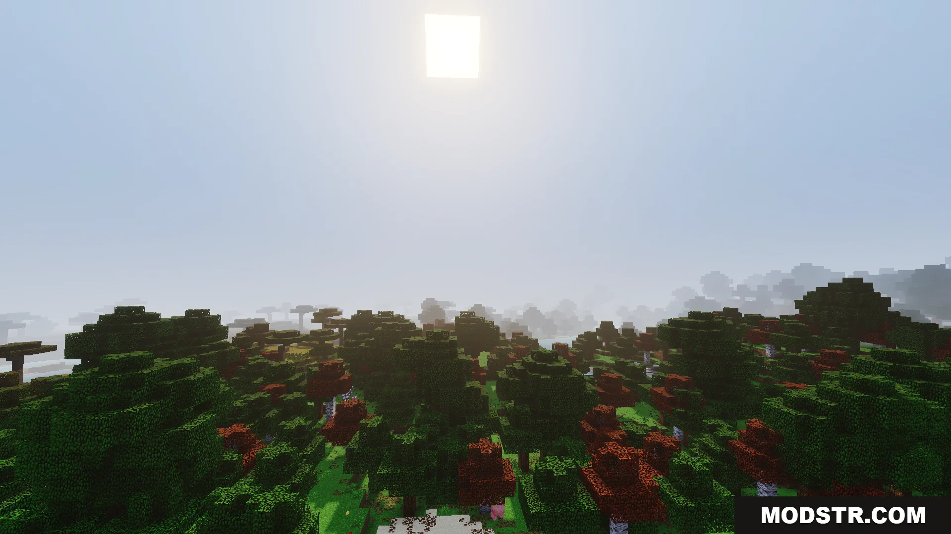 RG Visuals Shader Screenshot 9 Bright sun rays shine through forest trees with dynamic fog and soft shadows