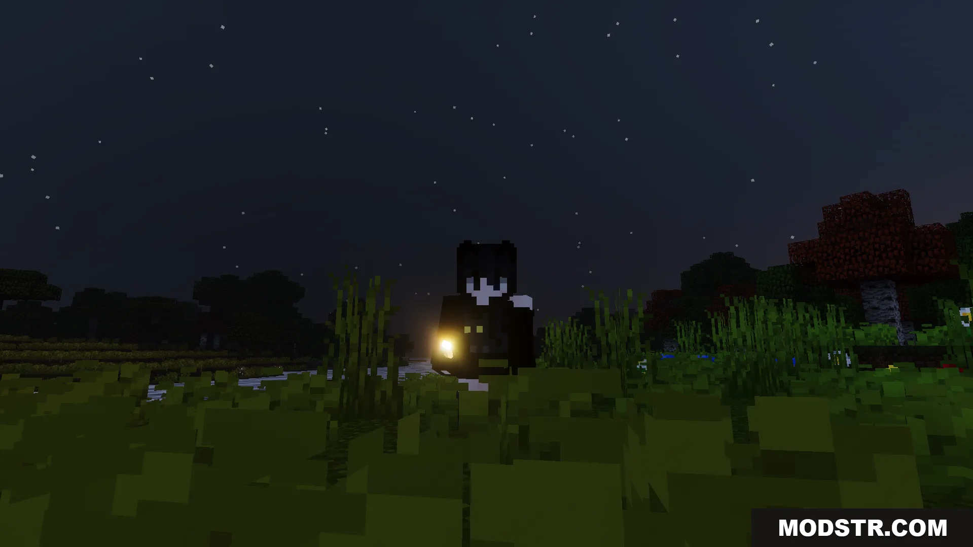 RG Visuals Shader Screenshot 5 Minecraft player holding a torch at night with realistic lighting and moving grass