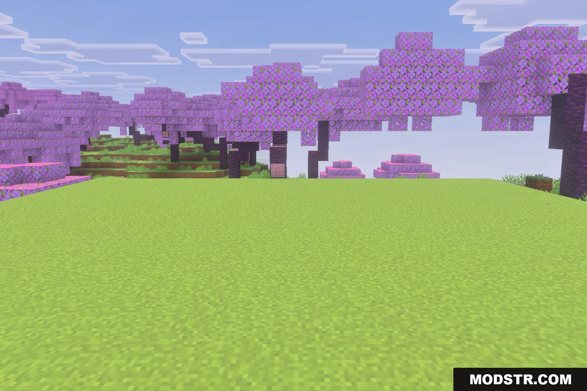 Saturated for Bedrock Edition Texture Pack Screenshot 1 Beautiful cherry blossom biome with vibrant pink leaves and bright green grass