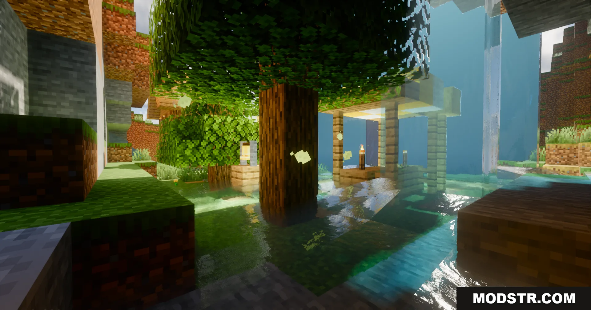 Serendipity Shaders adds realistic water reflections and soft lighting to a forest