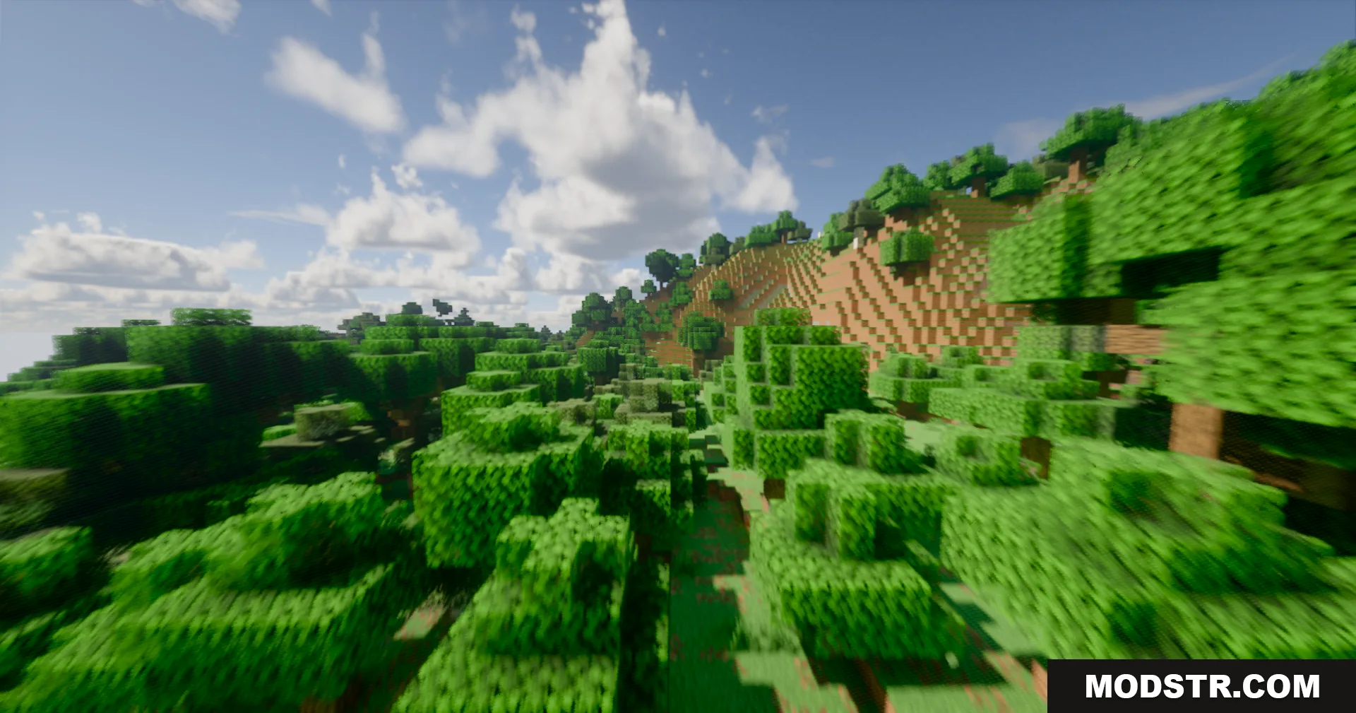 A lush green forest landscape with realistic lighting and soft volumetric clouds