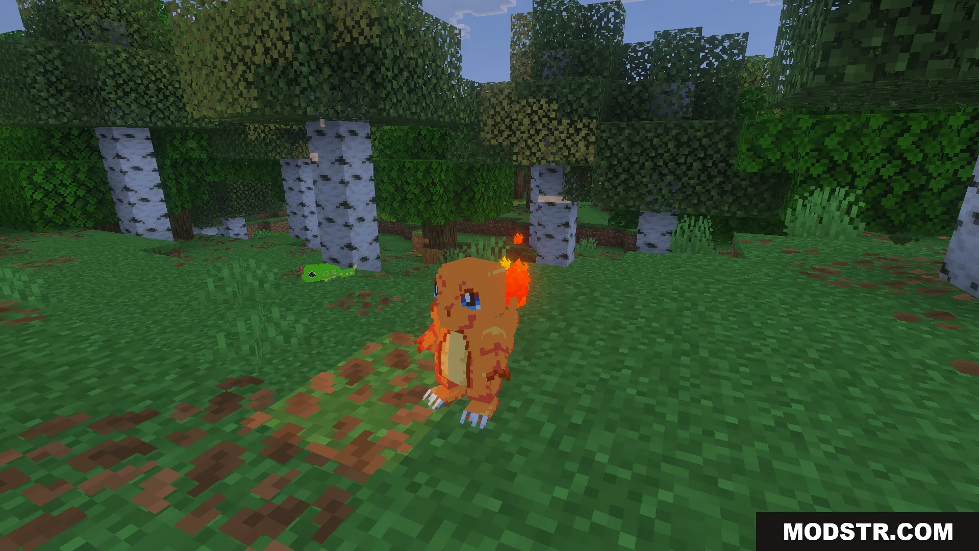 A Charmander and a Caterpie standing in a birch forest in Minecraft