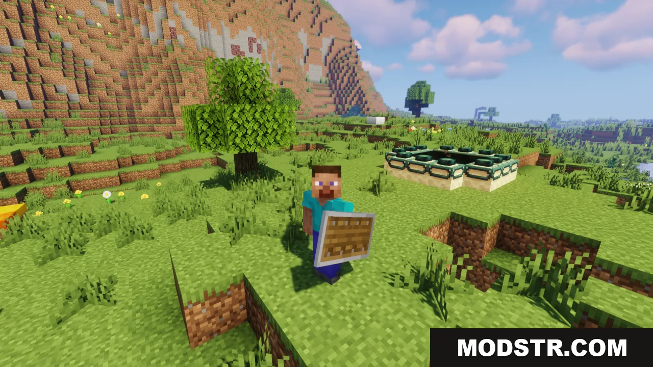 Third person view of a player holding a lowered shield in a field